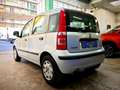 Fiat Panda Panda 1.2 MyLife 69cv Grau - thumbnail 3