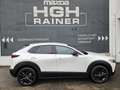 Mazda CX-30 e-Skyactive G140 Nagisa Weiß - thumbnail 7
