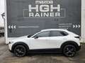 Mazda CX-30 e-Skyactive G140 Nagisa Weiß - thumbnail 3