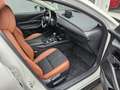 Mazda CX-30 e-Skyactive G140 Nagisa Weiß - thumbnail 25