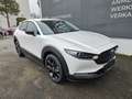 Mazda CX-30 e-Skyactive G140 Nagisa Weiß - thumbnail 8