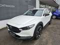 Mazda CX-30 e-Skyactive G140 AT Nagisa Weiß - thumbnail 1