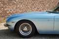 Lamborghini 400 GT Spyder "Conversion" Early conversion (1970s Azul - thumbnail 17
