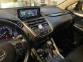Lexus NX 300 NX 300h 2.5 4wd cvt TUTTA TAGLIANDATA Nero - thumbnail 13