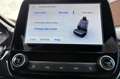 Ford Puma 1.0 EcoBoost Hybrid Titanium X | B&O | Elektrische Gris - thumbnail 18