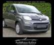 Fiat Panda 1.2 Start&Stop Easy Panda 1.2 Grijs - thumbnail 1