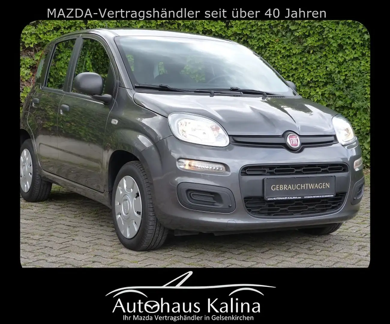 Fiat Panda 1.2 Start&Stop Easy Panda 1.2 Grijs - 1