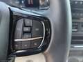 Ford Tourneo Custom Tou.Cust. 320 2.0 EcoB 170aut.AWD PC T.X Gris - thumbnail 23