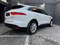 Jaguar F-Pace 2.0i4D Prestige Aut. AWD 180 Blanc - thumbnail 16