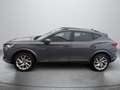 CUPRA Formentor 2,0 TDI DSG 4Drive Grau - thumbnail 4