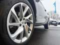 CUPRA Formentor 2,0 TDI DSG 4Drive Grau - thumbnail 3