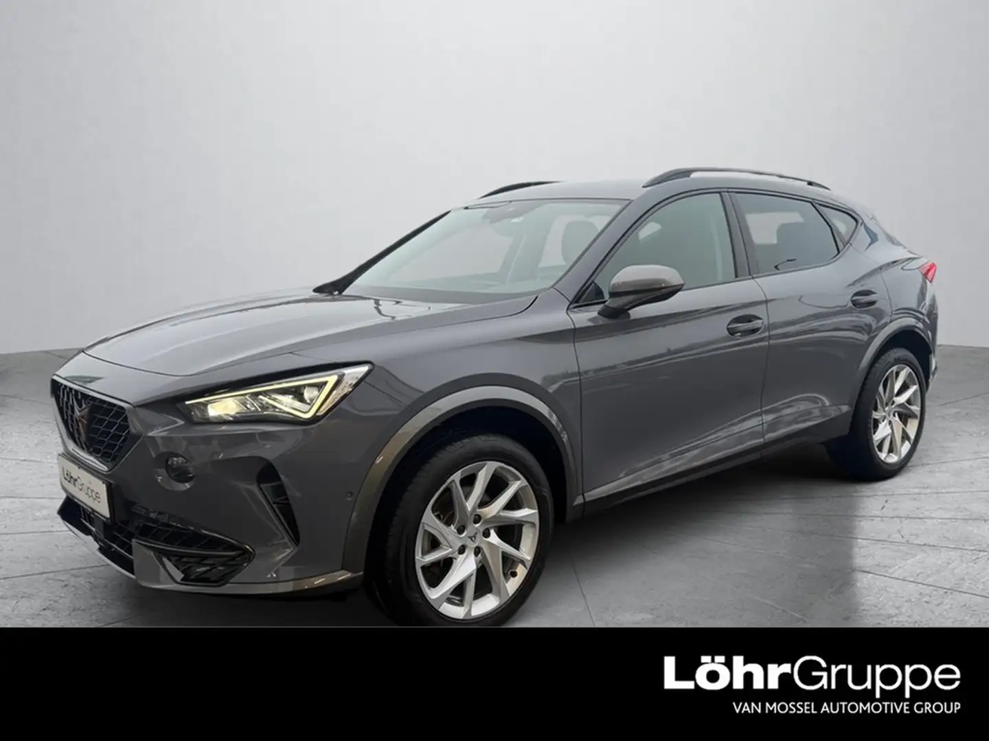 CUPRA Formentor 2,0 TDI DSG 4Drive Grau - 1