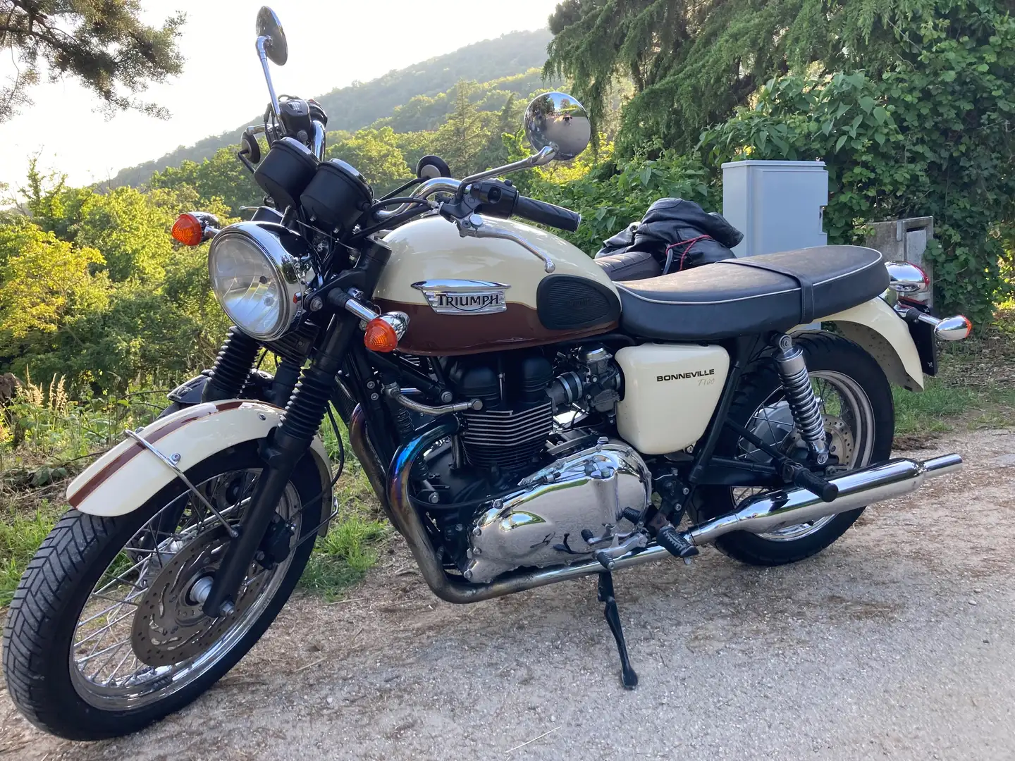 Triumph Bonneville T100 Crema cafè - 2