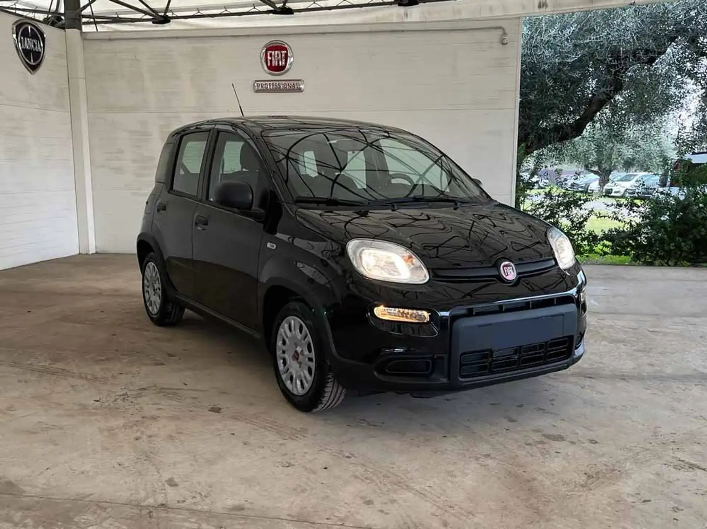 Fiat Panda Panda III 2024 1.0 firefly hybrid s Nero - 2