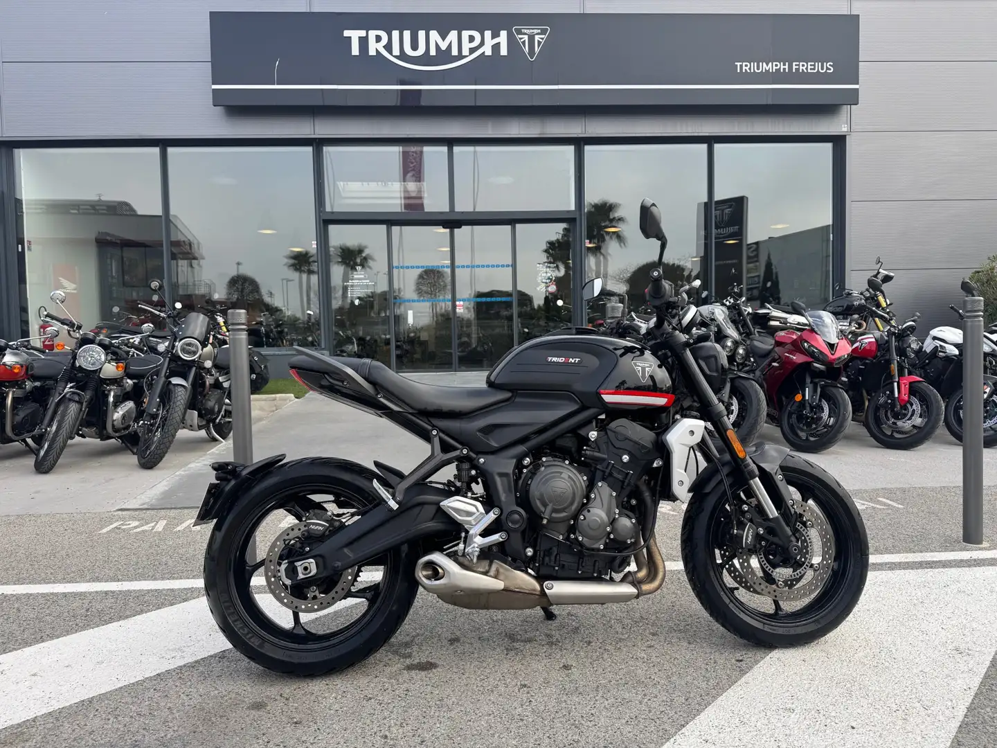Triumph Trident 660 - 1