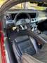 Mercedes-Benz E 53 AMG E 53 AMG 4Matic (238.361) Rot - thumbnail 7