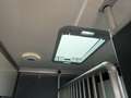 Nissan Interstar Stablehopper Stallion Light SafetyPack Grigio - thumbnail 29