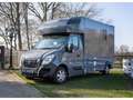 Nissan Interstar Stablehopper Stallion Light SafetyPack Grigio - thumbnail 2