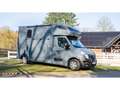 Nissan Interstar Stablehopper Stallion Light SafetyPack Grigio - thumbnail 4