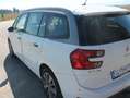 Citroen Grand C4 Picasso Grand C4 Picasso BlueHDi 150 EAT6 Intensive Intensive Weiß - thumbnail 9