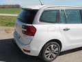 Citroen Grand C4 Picasso Grand C4 Picasso BlueHDi 150 EAT6 Intensive Intensive Weiß - thumbnail 6