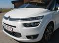 Citroen Grand C4 Picasso Grand C4 Picasso BlueHDi 150 EAT6 Intensive Intensive Weiß - thumbnail 14