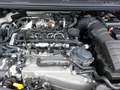 Volkswagen Caddy VW Caddy Maxi 2.0 TDI DSG Rollstuhlumbau Weiß - thumbnail 5