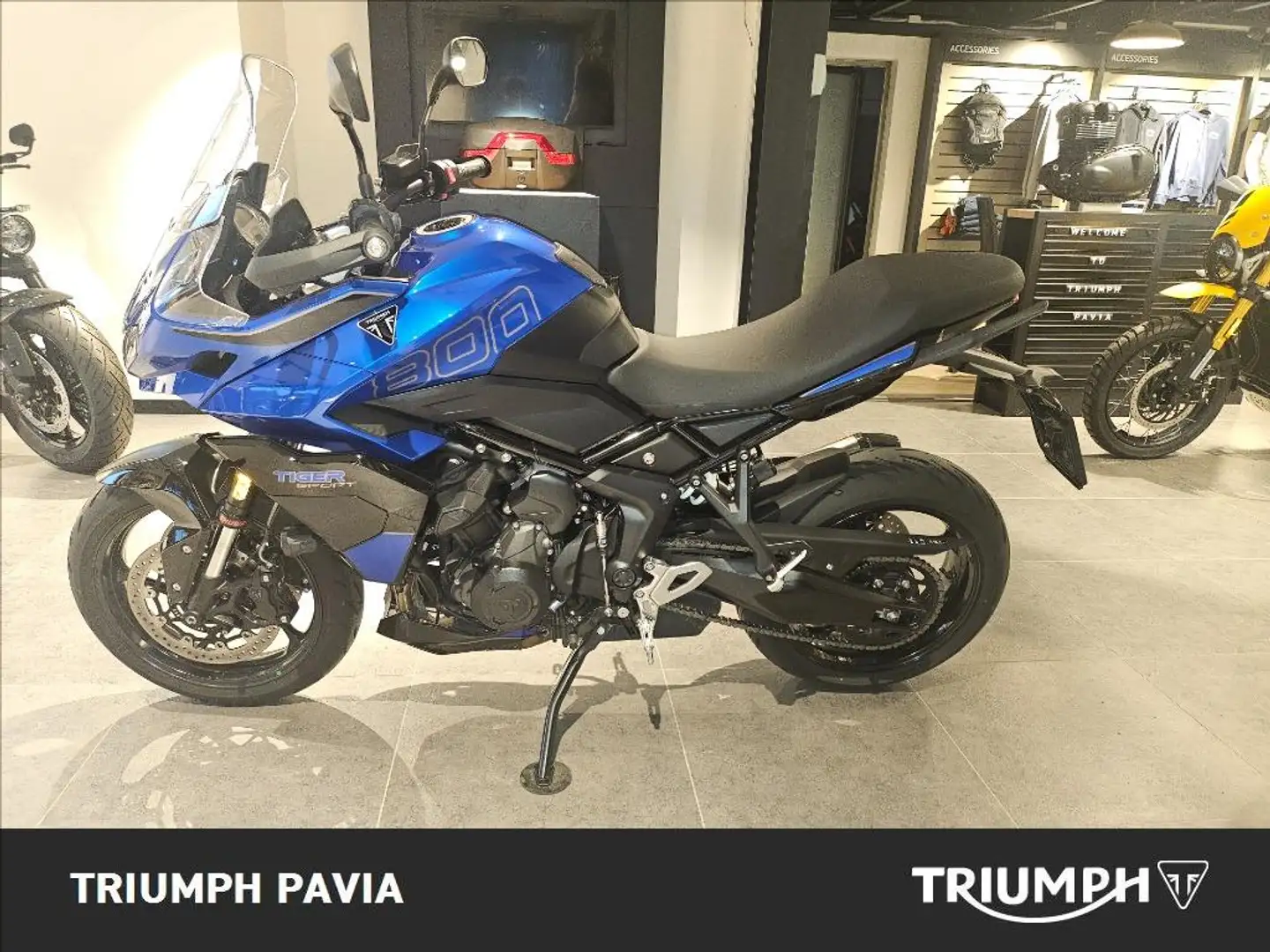 Triumph Tiger Sport Abs Grigio - 2