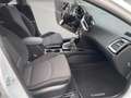 Kia Ceed / cee'd Vision Navi Digitales Cockpit Apple CarPlay Androi Bianco - thumbnail 14