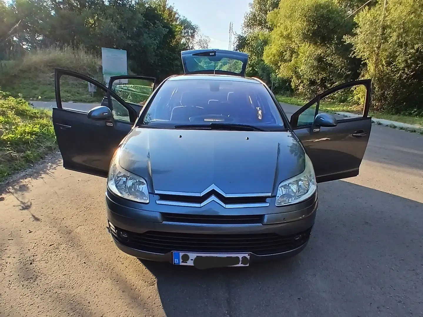 Citroen C4 C4 1.6i SX Pack Gri - 2