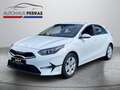Kia Ceed / cee'd Ceed 1.5 T-GDI DCT7 Vision Komfort+ Navi ACC Navi Bianco - thumbnail 3