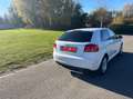 Audi A3 2.0 TDi Ambition Start/Stop DPF S tronic - thumbnail 2