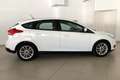 Ford Focus 1.0 Ecoboost Trend 100 Blanco - thumbnail 3