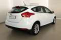 Ford Focus 1.0 Ecoboost Trend 100 Blanco - thumbnail 12
