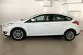 Ford Focus 1.0 Ecoboost Trend 100 Bianco - thumbnail 2
