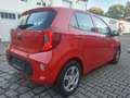 Kia Picanto 1.0 Attract Rot - thumbnail 5