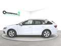 Skoda Octavia Octavia Wagon 1.0 e-tec Executive dsg Bianco - thumbnail 3