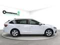 Skoda Octavia Octavia Wagon 1.0 e-tec Executive dsg Bianco - thumbnail 8