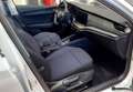 Skoda Octavia Octavia Wagon 1.0 e-tec Executive dsg Bianco - thumbnail 10