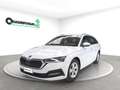 Skoda Octavia Octavia Wagon 1.0 e-tec Executive dsg Bianco - thumbnail 1