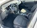 Volkswagen Golf 1.5 TSI Comfortline BMT Start-Stopp Aut. Blanco - thumbnail 8