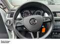 Skoda Rapid/Spaceback Spaceback 1.0 TSI Drive Xenon   PDC   Tempomat   M Weiß - thumbnail 12
