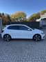 Volkswagen Polo GTI 2.0 TSI OPF DSG Weiß - thumbnail 5