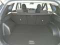 Hyundai TUCSON NX4 Edition 35 1,6 T-GDi 2WD Grün - thumbnail 7