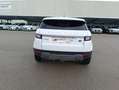 Land Rover Range Rover Evoque 5p 2.0 Td4 (110 kW) 150 CV 4x4 Pure Blanc - thumbnail 7