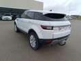 Land Rover Range Rover Evoque 5p 2.0 Td4 (110 kW) 150 CV 4x4 Pure Blanc - thumbnail 8