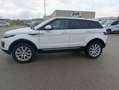 Land Rover Range Rover Evoque 5p 2.0 Td4 (110 kW) 150 CV 4x4 Pure Blanc - thumbnail 5