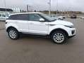 Land Rover Range Rover Evoque 5p 2.0 Td4 (110 kW) 150 CV 4x4 Pure Blanc - thumbnail 4