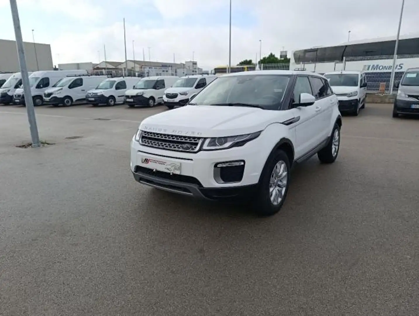Land Rover Range Rover Evoque 5p 2.0 Td4 (110 kW) 150 CV 4x4 Pure Wit - 1