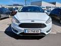 Ford Focus Focus 1,5 TDCi Titanium Titanium Weiß - thumbnail 5